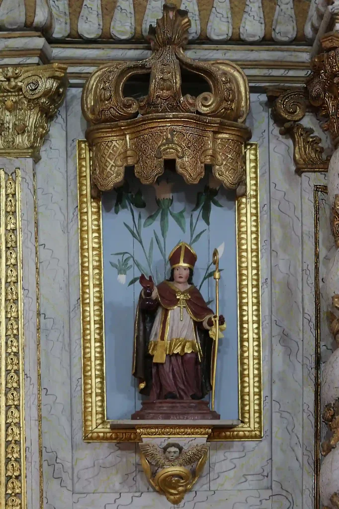 Santo Padroeiro de Várzea da Serra